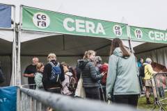 REA3374